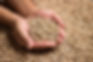 main-pleine-de-granules-pellets.jpg