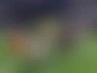 Children enjoying The Dinosaur Experience at the STEM fest celebration in the New Orleans Superdome