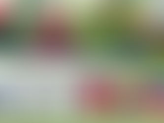 ปุ๋ยที่เกษตรกรนิยมใช้แล้วได้ผลดีจริง ปุ๋ยไซโต