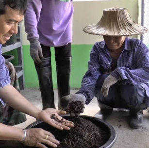 เกษตรกรไทยไอเดียเจ๋ง ทำไส้เดือนแอฟริกันเอคอร์เดอร์ ทำเงินมหาศาล!!