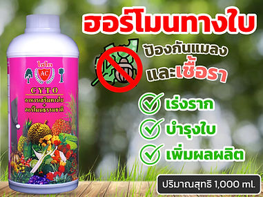 ฮอร์โมน 4.3.jpg