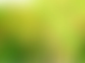 วิธีทำนาดำให้ได้ผลผลิตดี