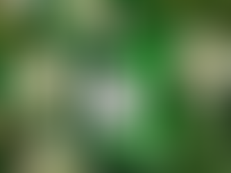 Discover Howard's Gin: A Tasmanian Botanical Blend