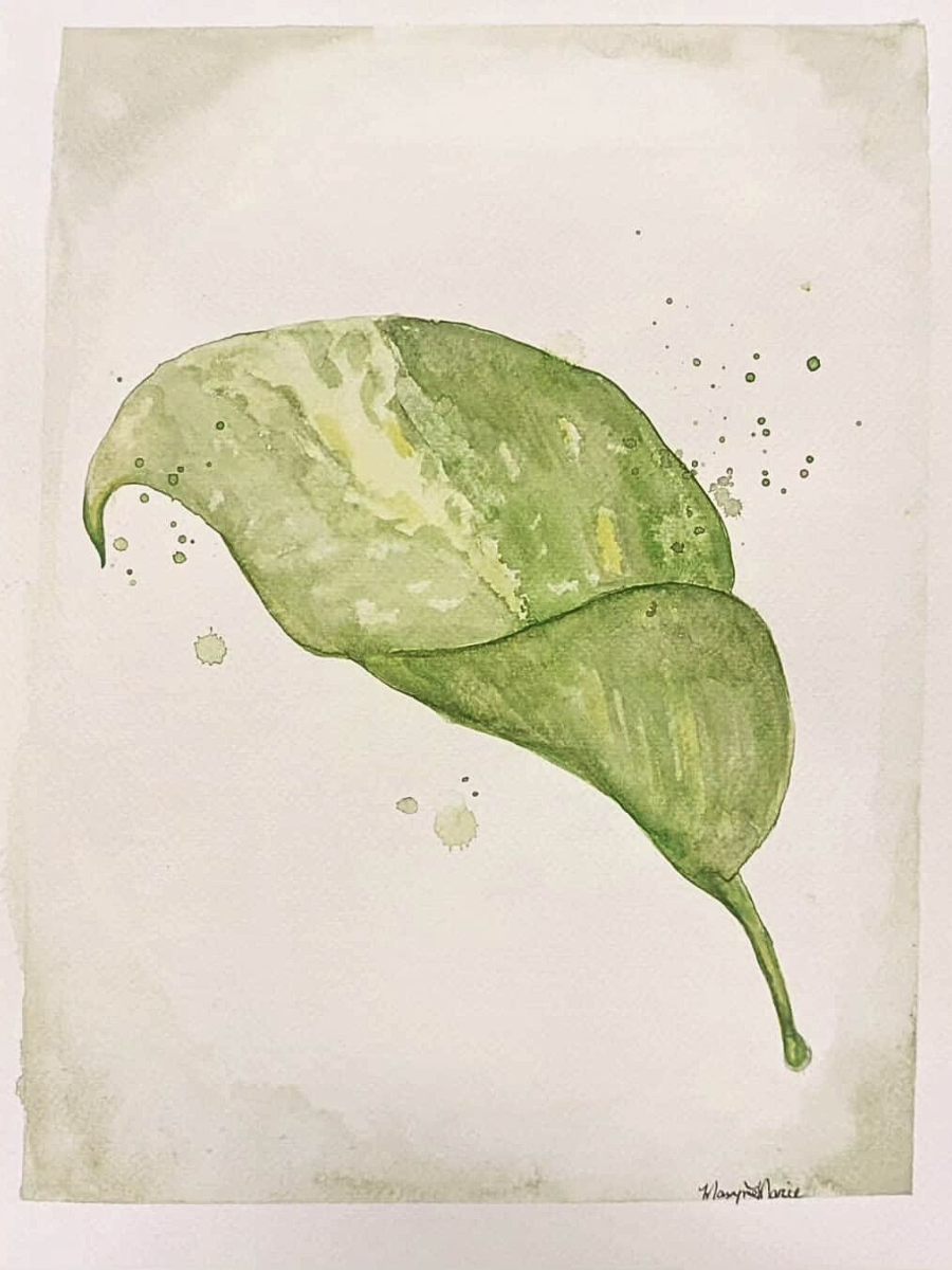 38_20240820_100503_0037