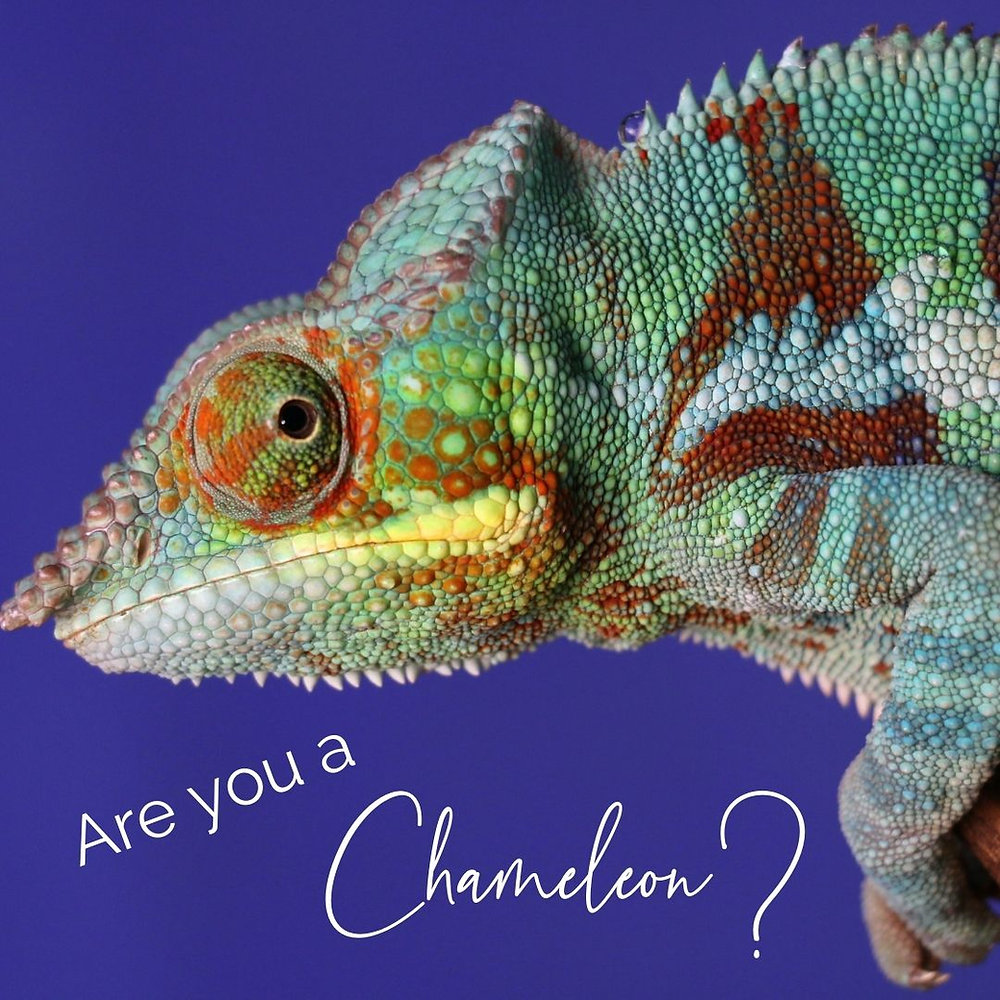 Are You a Chameleon?