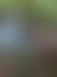 Rest: Gracia Mukiibi