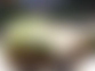 מהתראה להשראה - טכניקה לציור בוטני בצבעי מים בעזרת צל