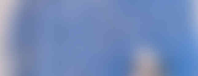 ציור של Terry Runyan