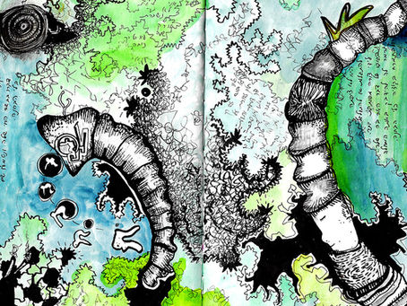 מאלימות לאלינות