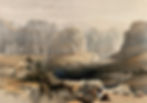 0 petra colored by david roberts.jpg