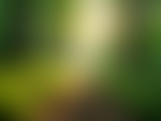 The Importance of Sustainable Living in Today's World