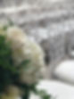 fullsizeoutput_c6d.jpeg