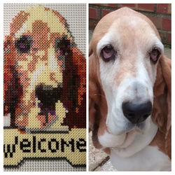 20171028_220744-COLLAGE