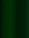 service de courtage (6).webp