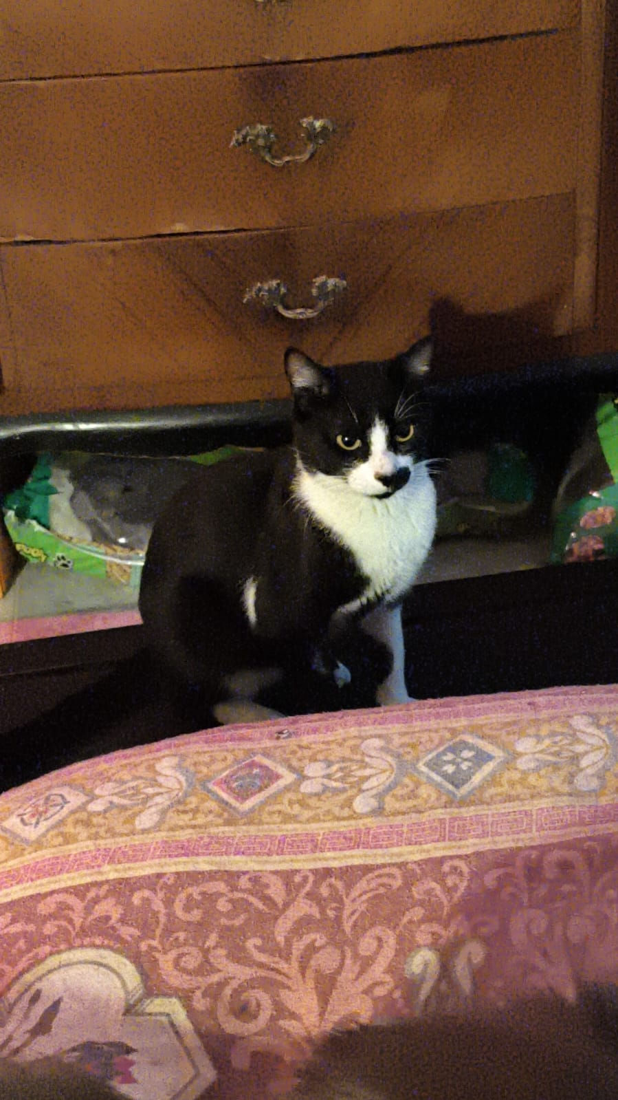 WhatsApp Image 2026-04-15 at 13.24.49