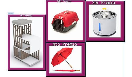 Captura de pantalla 2026-04-28 123329.jpg