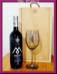 WhatsApp Image 2026-02-10 at 17.39.29 (1).jpeg