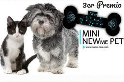 Imagen de WhatsApp 2025-05-04 a las 00.01_edited