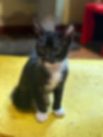 WhatsApp Image 2026-04-08 at 15.25.44