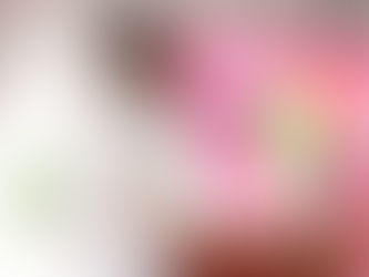 Programa de Reemplacamiento 2026 Año nuevo, placas nuevas