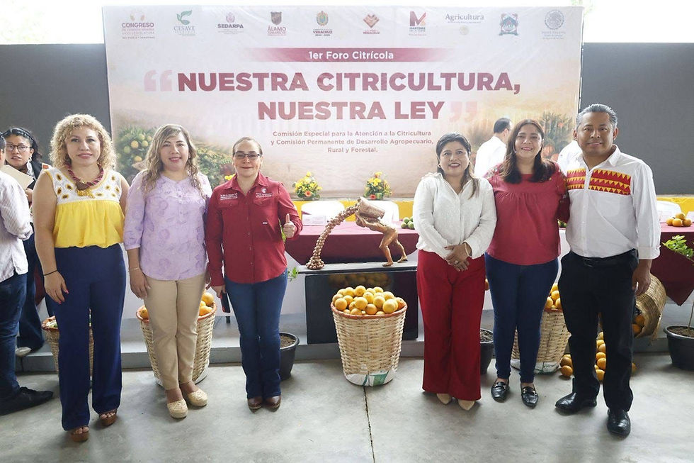 En Álamo, inician foros para nueva Ley de Citricultura