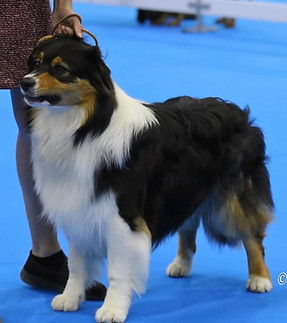FB_IMG_1698664170314.jpg
