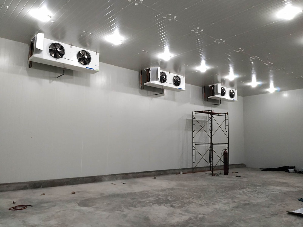 Pentingnya Memahami Penggunaan Fasilitas Cold Storage / Cold Room