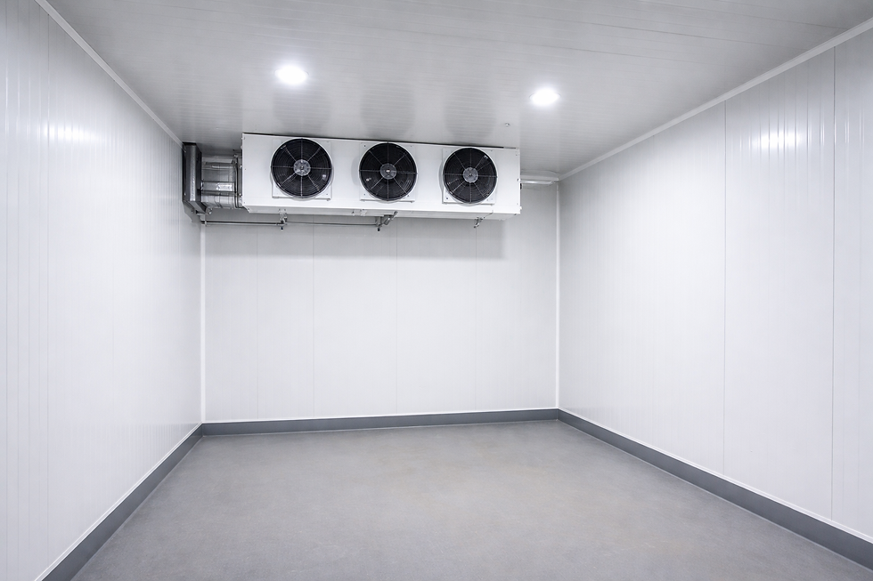 Ruangan Cold Storage PT Davin Cool Indotama Untuk Menyimpan Berbagai Macam Keperluan Anda