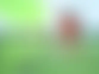 The Journey of a Young Player: From Training to Competitive Football in Abu Dhabi