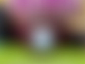 LA SOLIDARIDAD DE CENTROS ILUSIONA CON LOS MÁS NECESITADOS