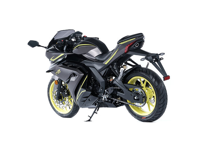 MITT360_GP2_fluor (13).jpg