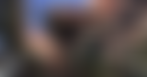 5 Indie Games to Play if You Like Monster Hunter