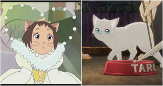 10 Animated Cat Movies For Cat Lovers