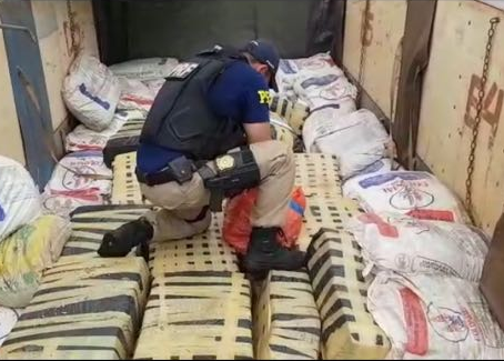 PRF faz a maior (7.5 toneladas) apreensão de maconha em rodovias federais goianas.