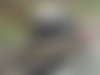 Homem morre e duas pessoas ficam feridas após motorista bêbado invadir pista em Goiás, diz PRF.