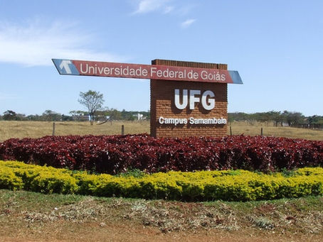 MPF recomenda que UFG suspenda reavaliação de cotas raciais anteriores a novembro de 2017.