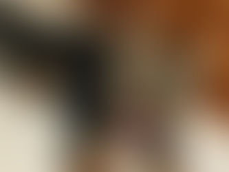 Donos já podem registrar animais de estimação em cartório de Goiânia.