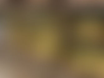 Feirão do Imposto realizado em Goiânia oferece alimentos e serviços até 69,7% mais baratos.