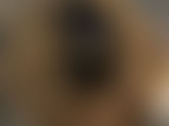 Le petit déjeuner au Grand Bassin, Castelnaudary