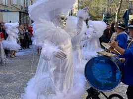 Le carnaval de Limoux à 40km de l’hostel le grand bassin