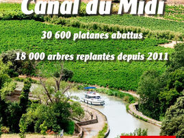 Replantation canal du Midi