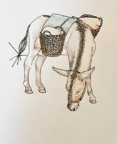 basket donkey_edited_edited.jpg