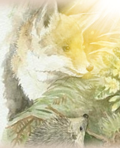 Fox and hedgehog_edited.jpg
