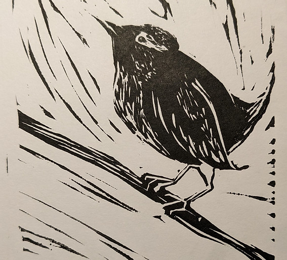 The King of the Birds original illustration S White.jpg
