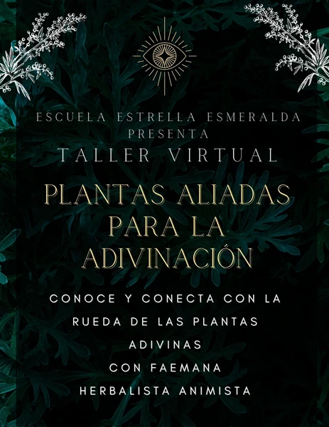 plantas para la adivinación taller virtual