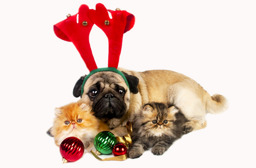 Why CPC has holiday policies and additional holiday fees.