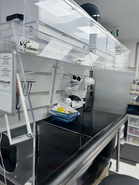 A lab