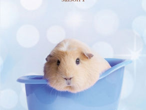 [Analyse] « En elle, l’humanité respire » - Pourquoi lire et relire Marie-Aude Murail aujourd’hui ?