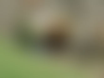 Sin perder el estilo, Glamping.