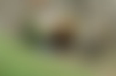 Sin perder el estilo, Glamping.